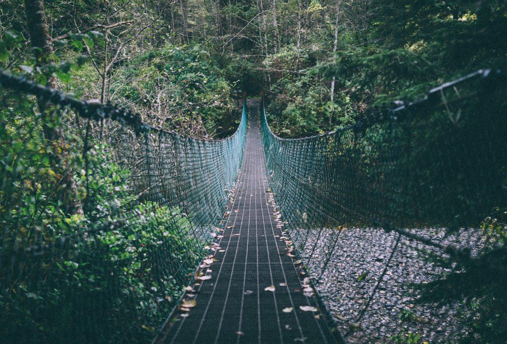 Auf der Hängebrücke springen - eine solche Brücke würde super funktionieren.