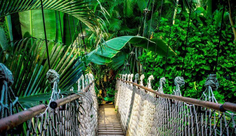 Auf der Hängebrücke springen - eine solche Brücke würde super funktionieren.