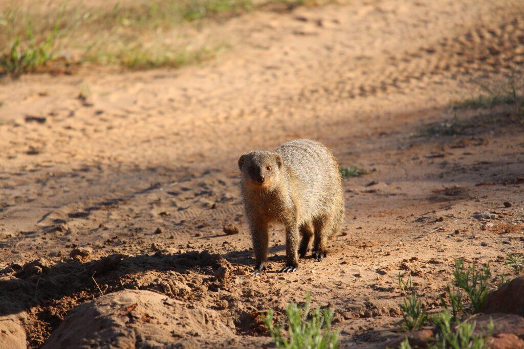 Waterberg-Plateau-Park