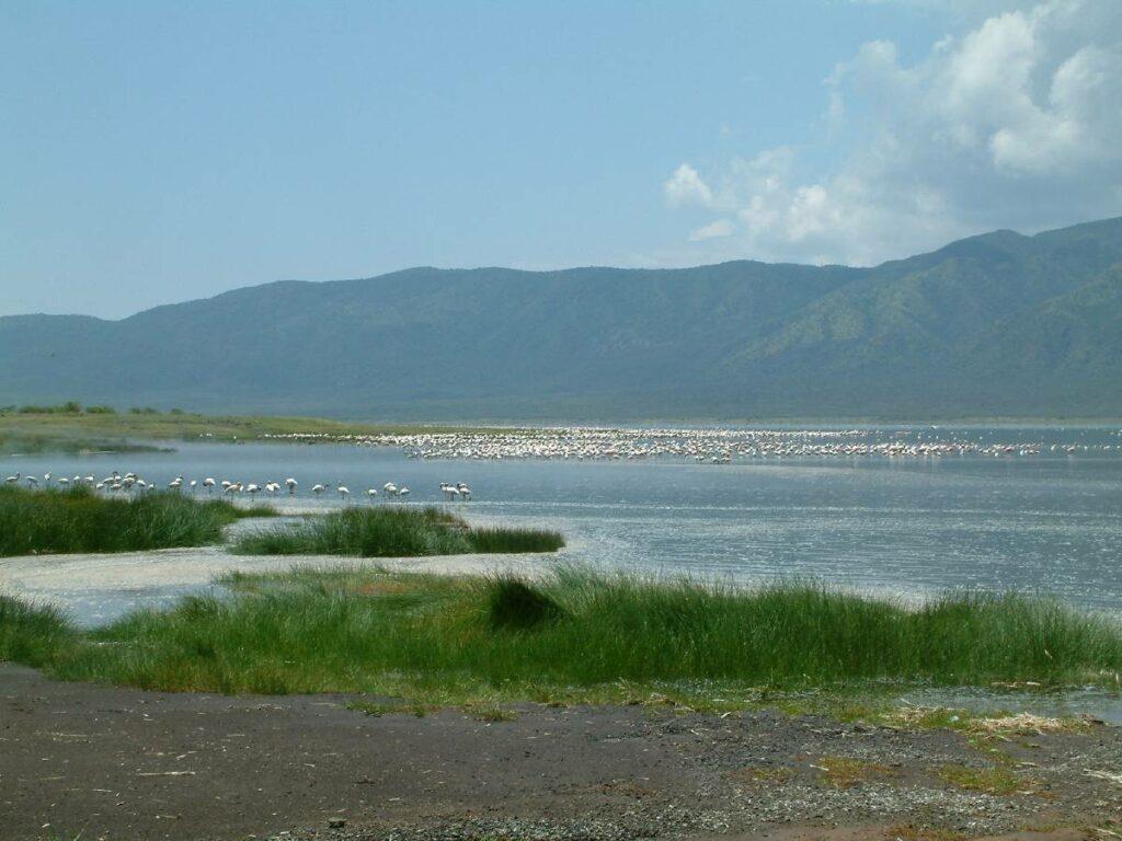 Bogoria See - Bildquelle: Berliner Tino, CC BY-SA 3.0