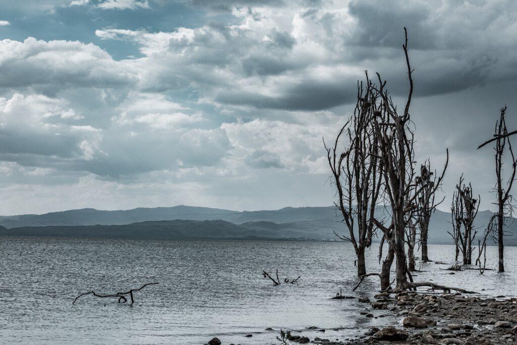 Sehenswürdigkeiten in Kenia - Naivasha See