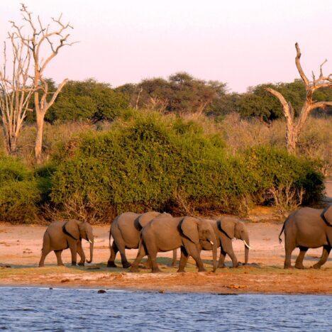 Sehenswürdigkeiten Namibia