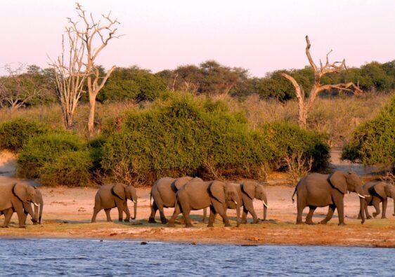 Sehenswürdigkeiten Botswana