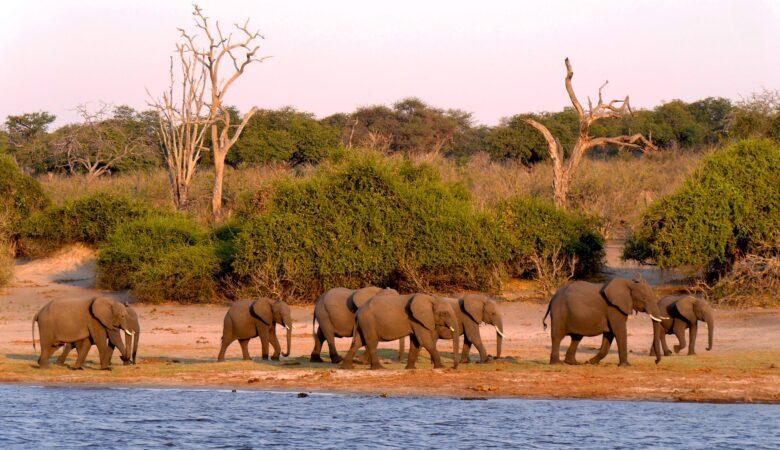 Sehenswürdigkeiten Botswana