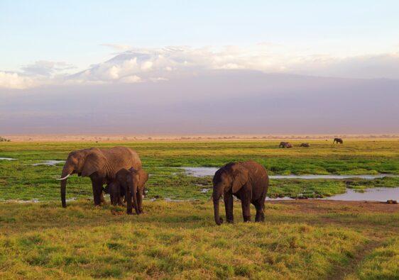 Must-See Locations Kenia