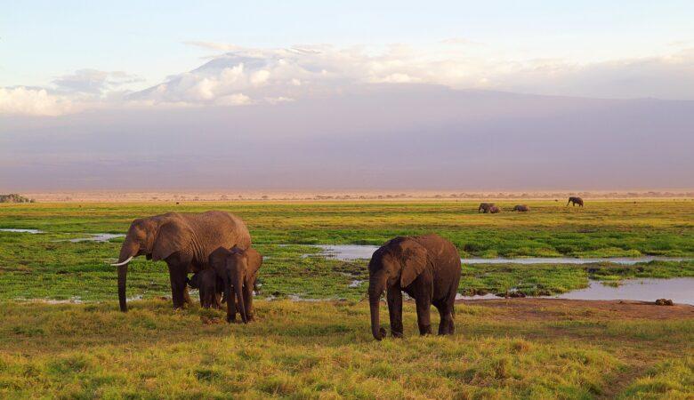 Must-See Locations Kenia