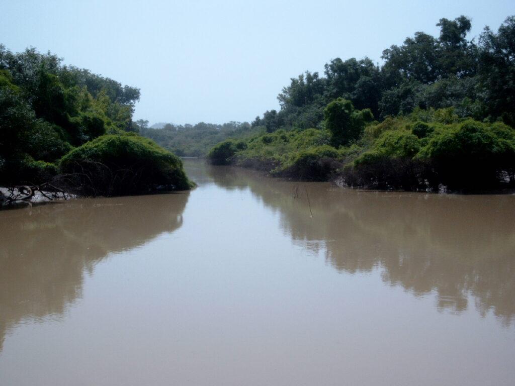 Sehenswürdigkeiten in Burkina Faso - Arly Nationalpark - Bildquelle: Von Marco Schmidt - Eigenes Werk, CC BY-SA 3.0