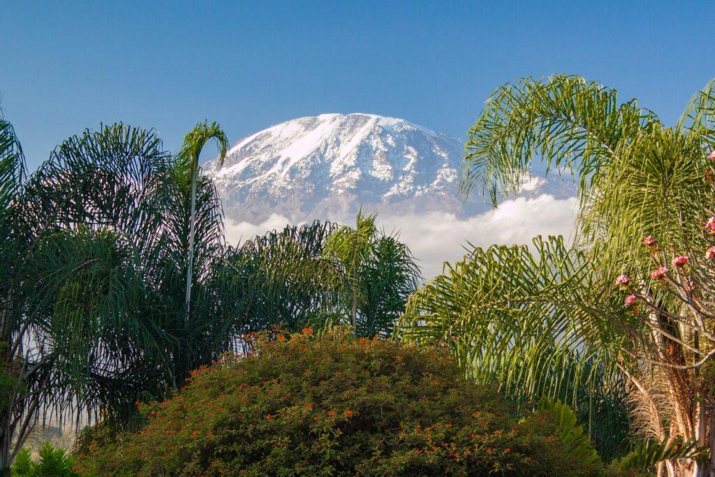 Sehenswürdigkeiten Tansania - Kilimanjaro