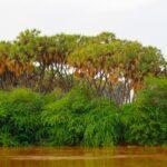 Sehenswürdigkeiten Somalia