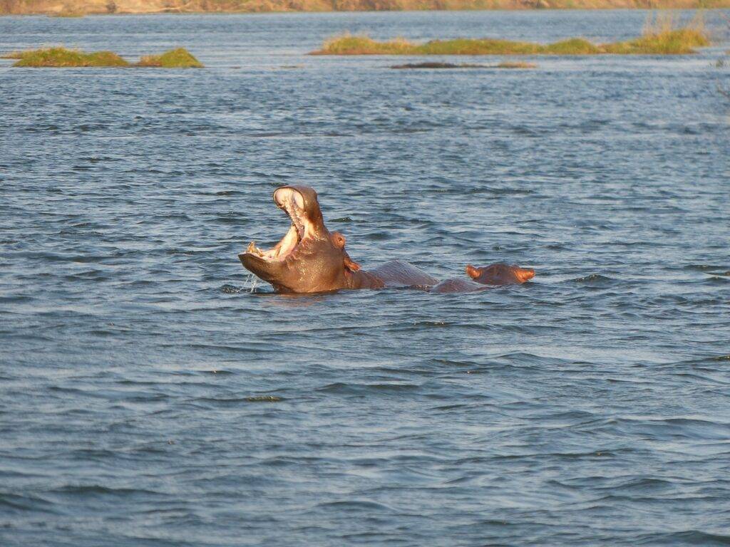 Sehenswürdigkeiten Gambia - Kiang West Nationalpark