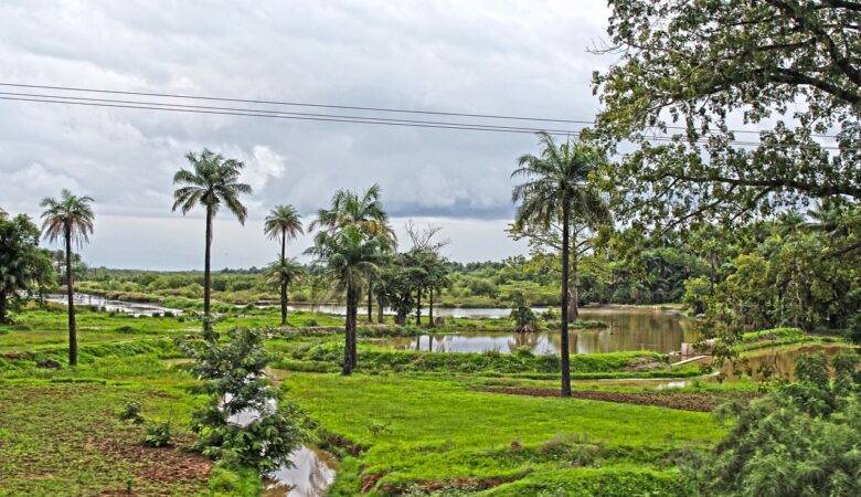 Sehenswürdigkeiten Gambia