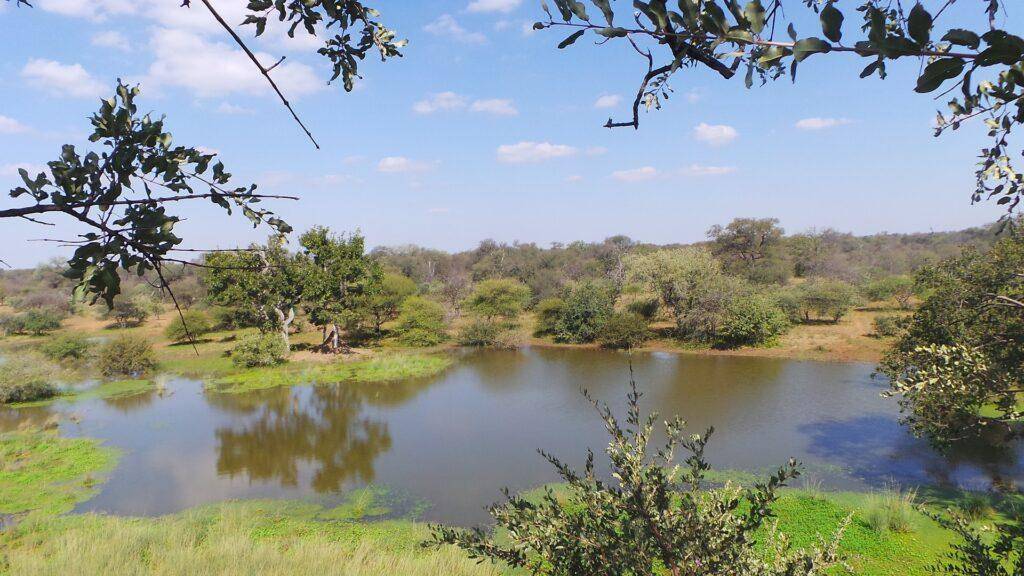 Great Limpopo Transfrontier Park