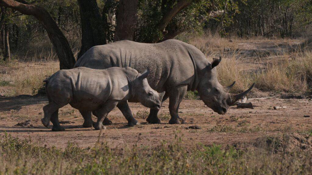 Nationalpark Garamba