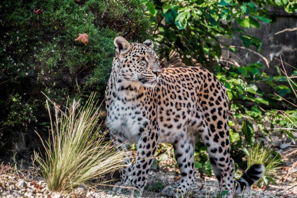 Sapo Nationalpark