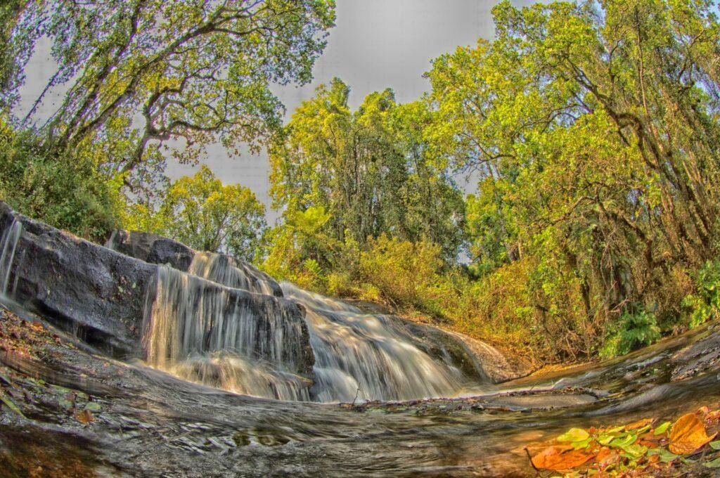 Sehenswürdigkeiten Malawi - Zomba Plateau