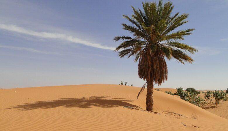 Sehenswürdigkeiten Mauretanien