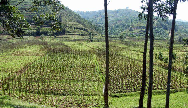 Sehenswürdigkeiten Ruanda